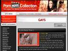 Gays Porn Movie Collection