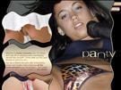 Panty Fantasies